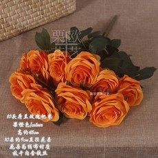 f7506a896feab5247c2d232a4fe2c2083bf2fa97ad5256d3f729b769ffba.jpg