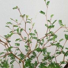 41ce050997f5bf08da7798c6fd12ff456f699aea2efca6f0e881368e32c9.jpg