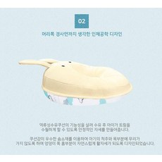 로토토쿠션