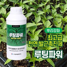 루팅파워 500ml (천연발근촉진제 + 이온미네랄) 뿌리영양제 식물발근촉진 장미 수국 과수 수목 뿌리강화 생장 성장 촉진 친환경 식물영양제 포도영양제 액상 액체 발근제, 1개