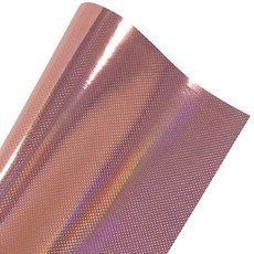 암막롤스크린레터링