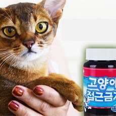 본네트 고양이 가싫어하는냄새 퇴치법 오일 살균 소독 퇴치 퇴치기 스프레이 길냥이