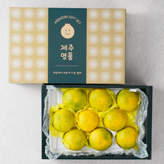 [품질완전보장] 제주도 황금향 고당도 과일선물세트, 1세트, 5kg 중 (18-24과)