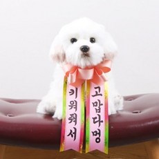 갓샵 인간화환 당일발송ver 대형 졸업 결혼식 생일, 1개