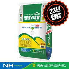 동송농협 철원오대쌀 10kg 2023년 햅쌀, 1개, 10kg(1개)