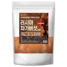 건강중심 러시아 차가버섯 분말 건차가버섯 가루 파우더, 500g, 1개