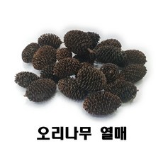 118b1af6f33529e0bcad494d4b499faa7c34b63e09f30fb1c038cd287c2e.jpeg