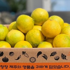 제주도 제철과일 고당도 귤 황금향, 1개, 1kg