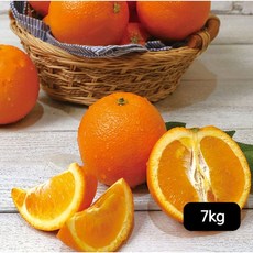 열매나무 캘리포니아 네이블 고당도 오렌지 7kg, 1개