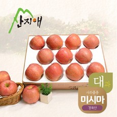 산지애 알뜰 못난이사과(대과) 4kg 1box, 단품없음
