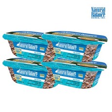 내추럴발란스참치흰살생선당근캣수제스튜71gx12개