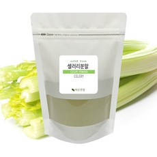 다른첨가물없이 국산 100% 셀러리가루 샐러리 분말 CELERY POWDER 지퍼백, 300g, 1개