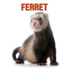 Ferret: Fun Facts & Cool Pictures Paperback, Independently Published