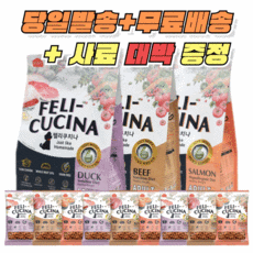 쿠치나전기튀김기