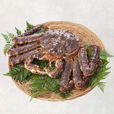 활 브라운 킹크랩 수율보장 레드 킹크랩 찜비 무료, 1개, 활 킹크랩 2.8kg
