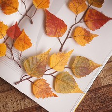 가을 잎사귀 or 가지 / 가을자작잎 / 버찌가지, 잎사귀 한봉지, 1개