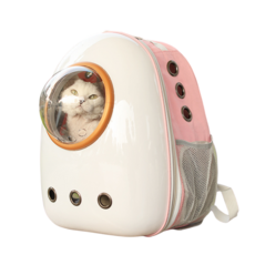 투명 배낭형 강아지 고양이 이동 가방강아지산책가방