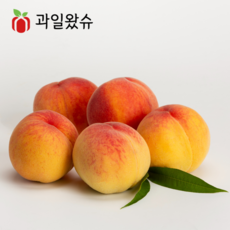 [과일왔슈] 물복 황도 그린황도 하우스 복숭아 햇복숭아 물렁이 말랑이 고당도 단황도 물복피치