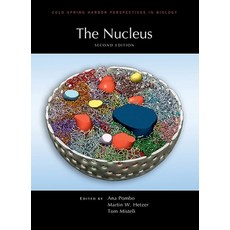 nucleus