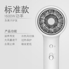 지고 드라이기 가정용 음이온 조용한 헤어 드라이어, [월아백] 베이직