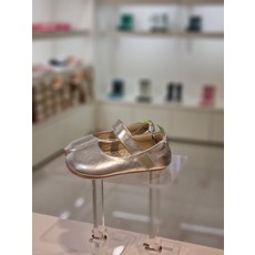 팁토이조이돌리