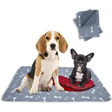 32 x 42 (2 Pack) Washable Pee Pads for Dogs | Eco Friendly Reusable Puppy Pads | Absorbent Piddle P