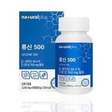 류신 단백질 60정 약2개월분 프리미엄 로이신 아미노산 L-로이신 프로틴 Leucine 뉴신 타블렛, 1박스 - 개월분