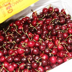 고당도 체리 (사이즈 9R) 특대과 / 워싱턴 생체리 / 5kg