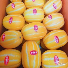 //상품명