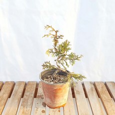 d7817889da8ab77c9b5df49b717b342663f2538fd94db7662aa6a130b19b.jpg