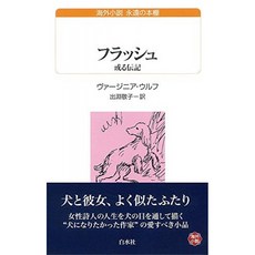 플래시 : 아를르 전기 (급류 U 북스), 단일옵션
