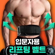 새라주미 헬스 허리 보호대 리프팅 복압 벨트, L