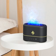 파라미불꽃가습기