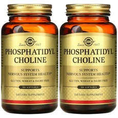 Solgar Phosphatidyl Choline 포스파티딜 콜린 100정 2개