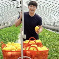 상주참외11kg랜덤