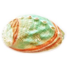 265e1d33e91be1d0b82727bacf0720267daba218c2de77821f00b9a30892.jpg