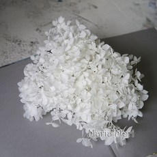 안나 수국 꽃 작은 잎 보존 장식 사무실 DIY, 01 Color 00_01 5g, 1개