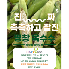 24년 평창군수품질인증 받은 평창 찰 옥수수 [새백재배][당일출고], 30개