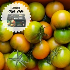 추천10부산대저토마토