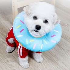 고양이 깔대기 목보호대 도넛 넥카라, 1개