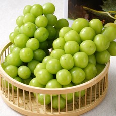 [고급포장] 최고당도 백화점납품용 에메랄드 샤인머스켓 설 추석 명절 선물세트, 1kg(특품), 1개