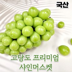 국내산 고당도 샤인머스켓 [ 1.2kg / 2kg ] 달달한 포도 씨없는 포도 당도선별 청포도 꿀포도 국산 산지직송 샤인머스캣 망고 망고포도 가정용 고당도샤인 왕포도 노지샤인머스켓