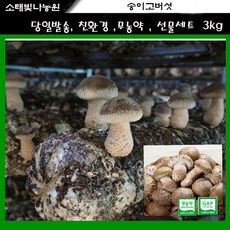 [소태빛나농원] 3kg 송이고버섯 매일수확 당일발송 친환경 무농약 충주 송화버섯 송고버섯 송화고버섯, #1kg (실속형)
