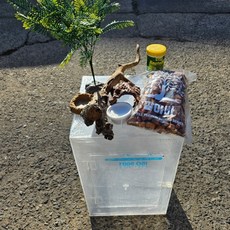  소라게키우기셋트 아크릴사육장30x30x45cm, 1개 