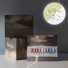 프롬더네일 세피아 자석젤 글리터젤 세트