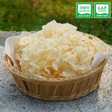국내생산 무농약 천생 생꽃송이버섯 베타글루칸 건강활력증진 경남산청, 1박스, 1kg