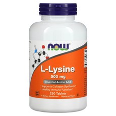 나우 푸드 L-라이신 500mg 250정, 1개