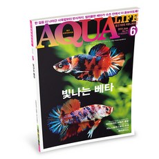 아쿠아라이프 아쿠아라이프 2019년 6월호