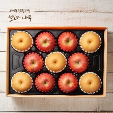 [빛과나무] [작심밀도] 사과.신고배세트 5.0kg(사과6입 배5입/특품) / 보자기, 1개, 5kg