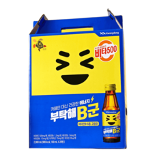 비타500 부탁해B군 100ml20병 비타음료선물, 비타500 부탁해B군 100ml 20병